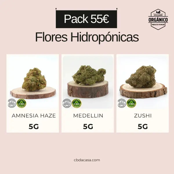 Flores CBD hidroponico a precio barato