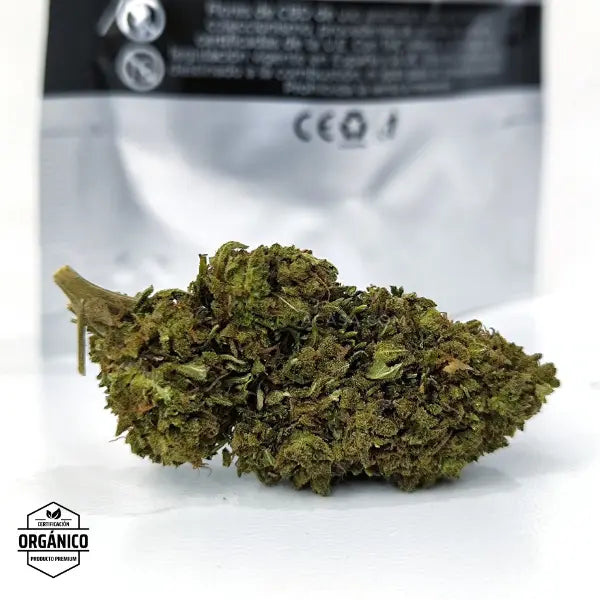 Flores CBD Cinderella 🆕
