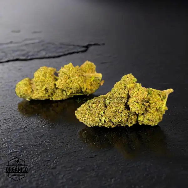 Flores CBD Master Kush