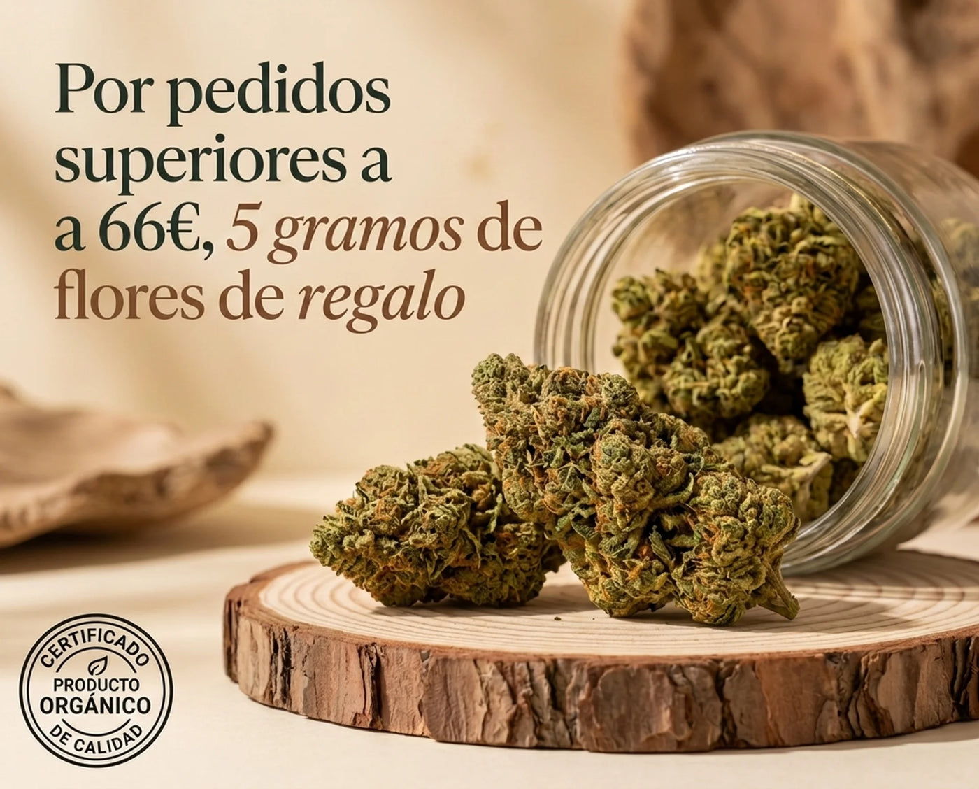 <p>Desconecta este <em>verano</em></p>