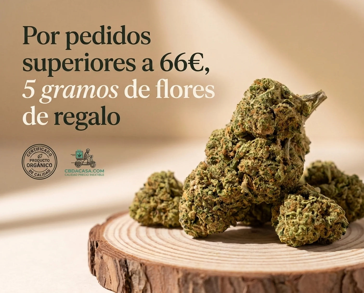 <p>Desconecta este <em>verano</em></p>