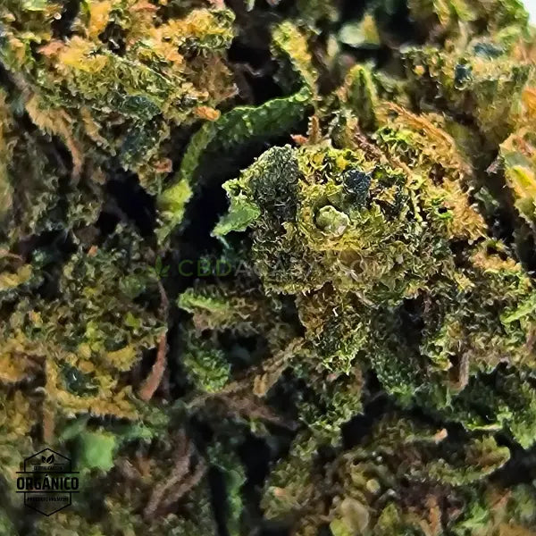 Flores CBD Pineapple Express