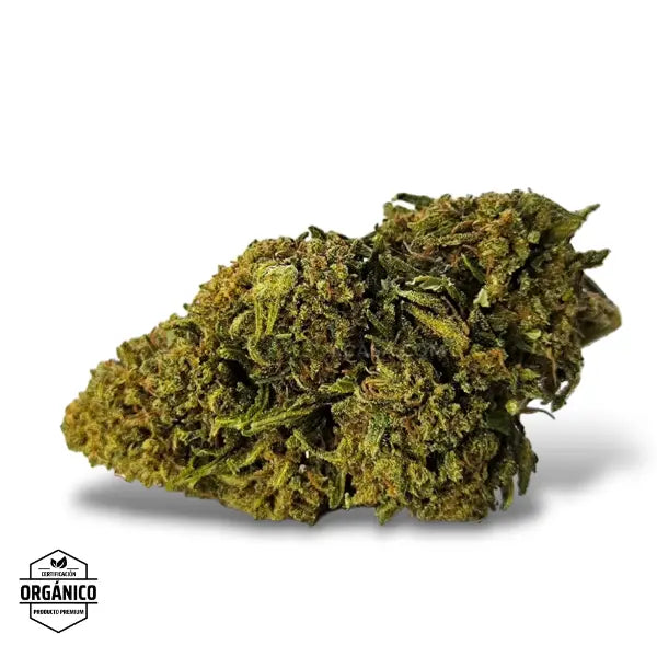 Flores CBD Mango Haze a partir de 1,50€/gr