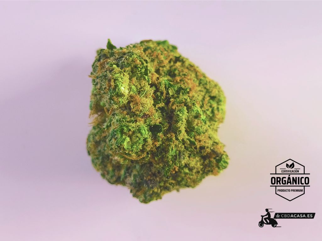 Flores de CBD Alien Cookies 100% ecológico desde 3 euro/gr