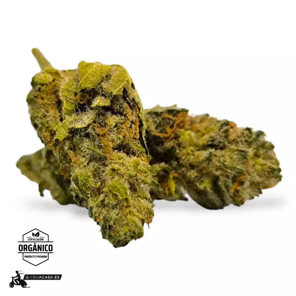 Flor CBD Indoor V1