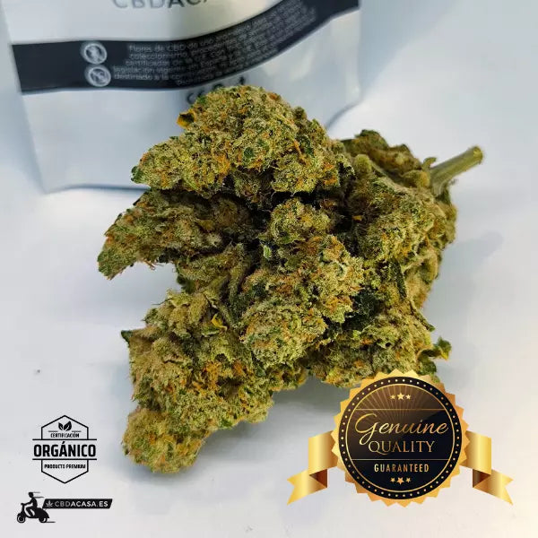 Comprar CBD Premium Amnesia Haze Hydro - Edición Limitada Extra grande