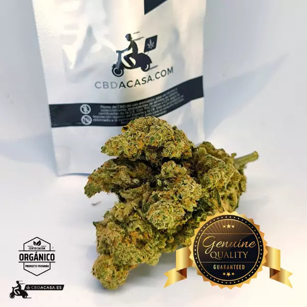 Comprar CBD Premium Amnesia Haze Hydro - Edición Limitada Extra grande