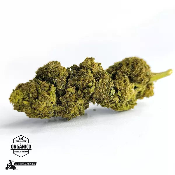 Comprar CBD White Widow - Impacto Visual