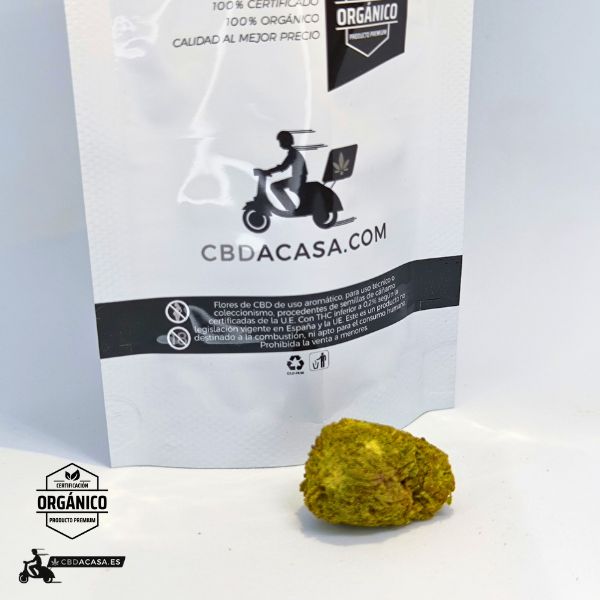 Flor CBD Premium Amnesia Frozen Dry indoor