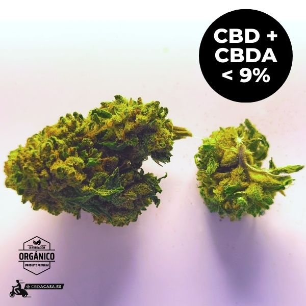 Flores de CBD Harlequeen 100% ecológico