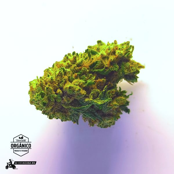 Flores de CBD Harlequeen 100% ecológico