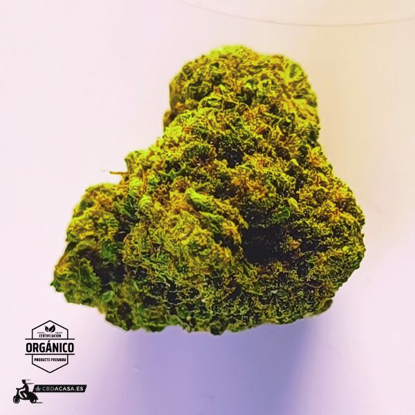 Flores de CBD Super Lemon Haze organico desde 1,5 euro/gr