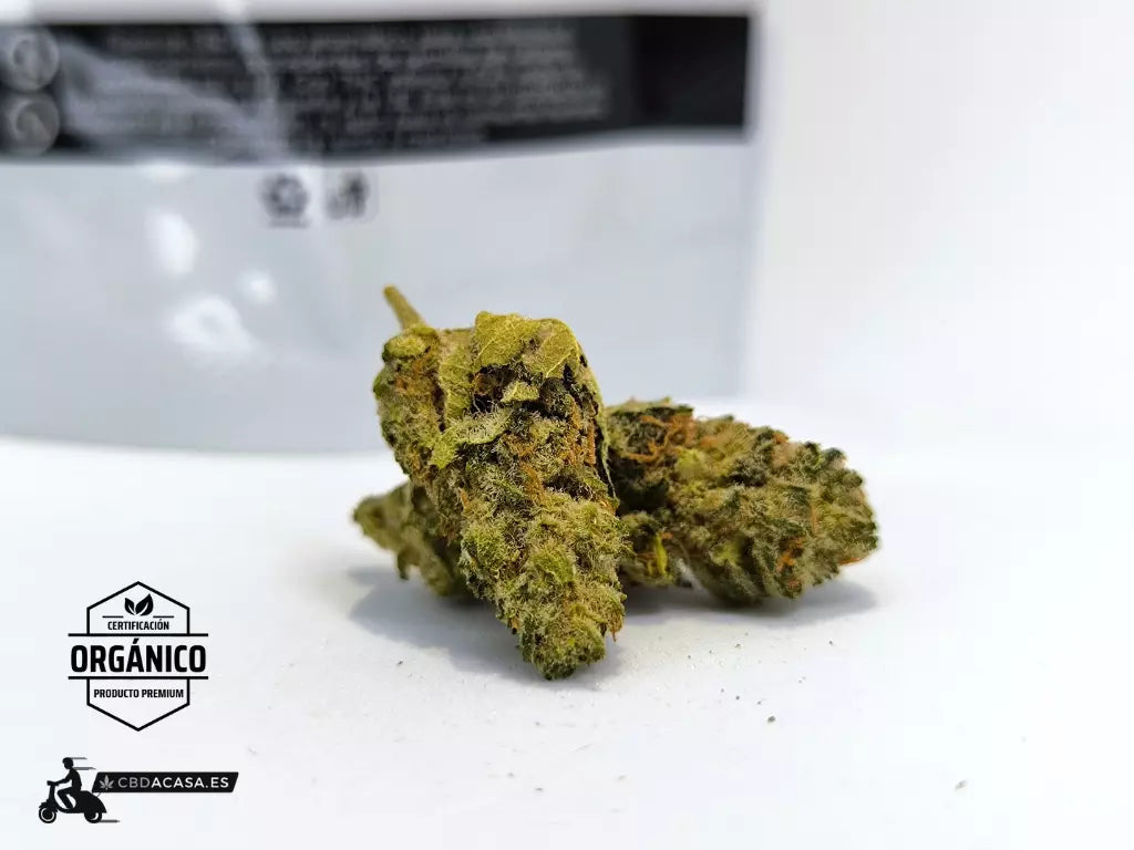 Flor CBD Indoor V1