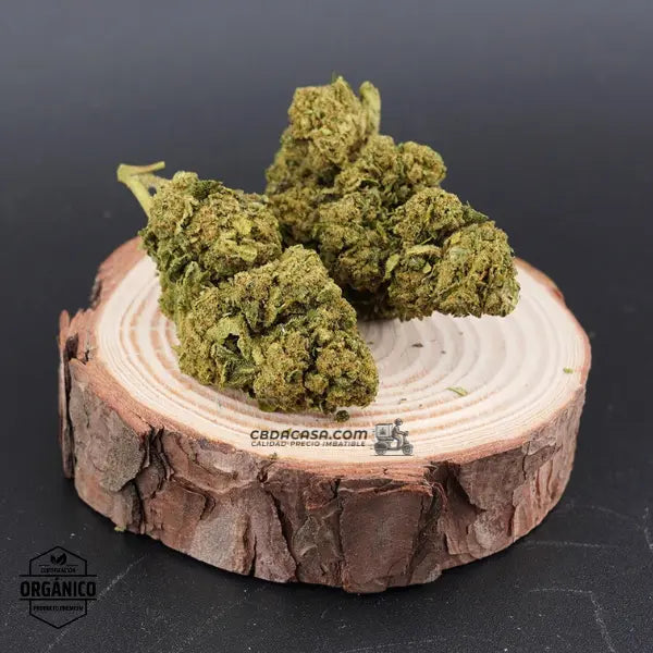 Flores CBD Fruit Cake – Aroma frutal intenso