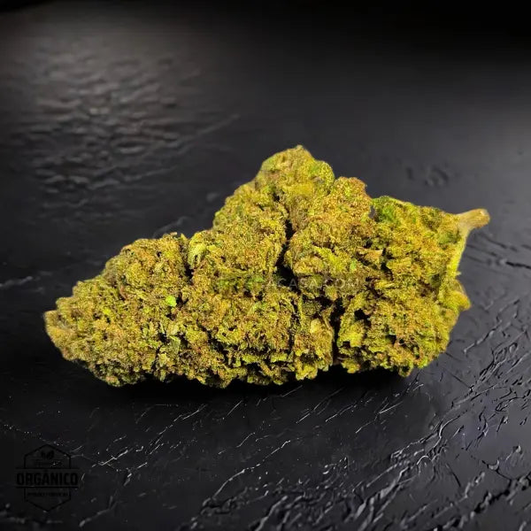 Flores CBD Master Kush