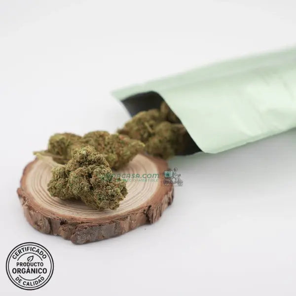 Blueberry, flores CBD hidropónicas