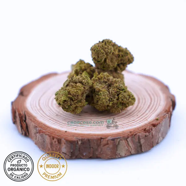 Flores de CBD Super Lemon Haze CBD indoor