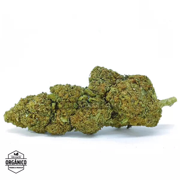Flores CBD Gorilla Glue Glasshouse 🆕
