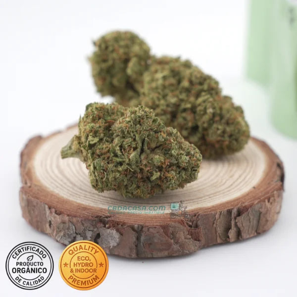 Flor CBD Kali Mist Cultivo Hydro - 15% CBD