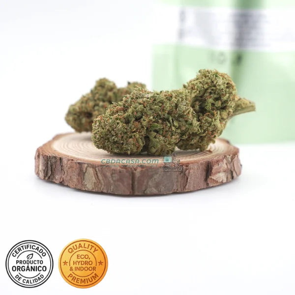 Flor CBD Kali Mist Cultivo Hydro - 15% CBD