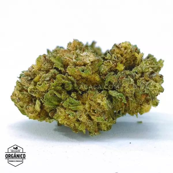 Flores CBD Mandarina Kush 🆕