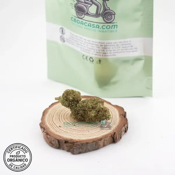 Blueberry, flores CBD hidropónicas