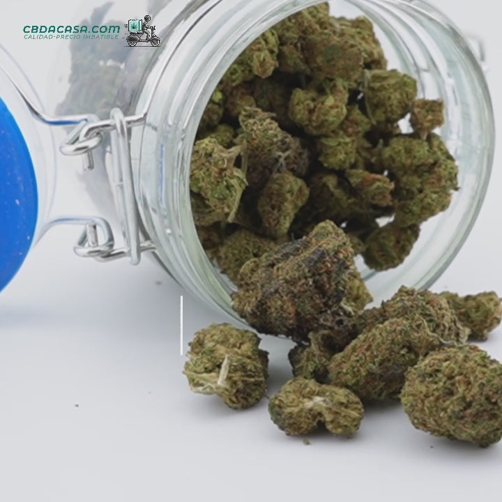 Flores CBD indoor Gorilla Glue