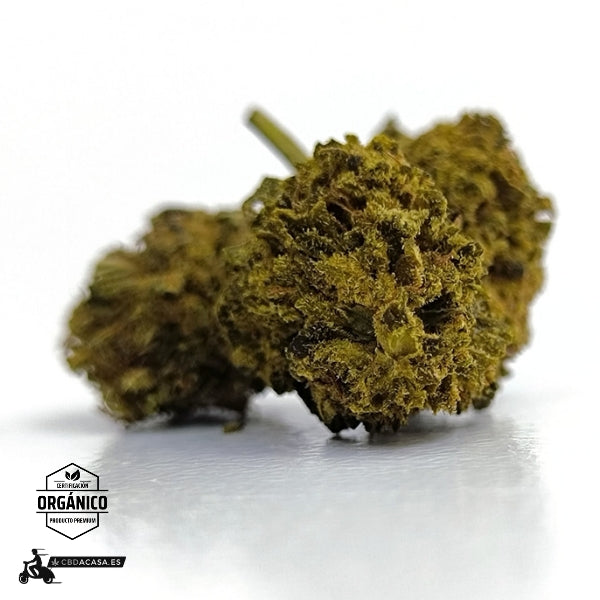 Sour Widow, flores CBD singulares con 13% de cannabidiol 🆕