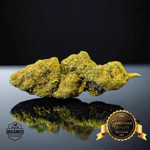 Runtz Muffin - flores CBD top