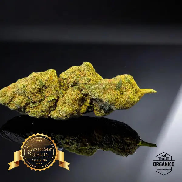 Runtz Muffin - flores CBD top