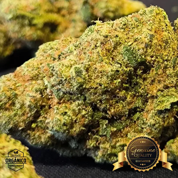 Runtz Muffin - flores CBD top