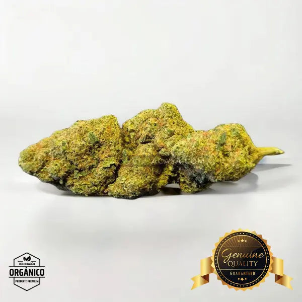 Runtz Muffin - flores CBD top