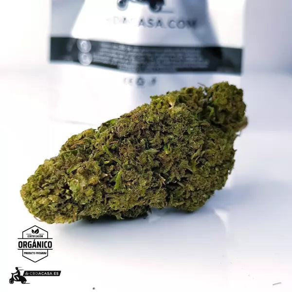 White Siberian cbd en barcelona