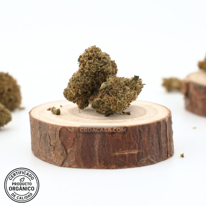 Strawberry CBD indoor flores bellísimas a buen precio