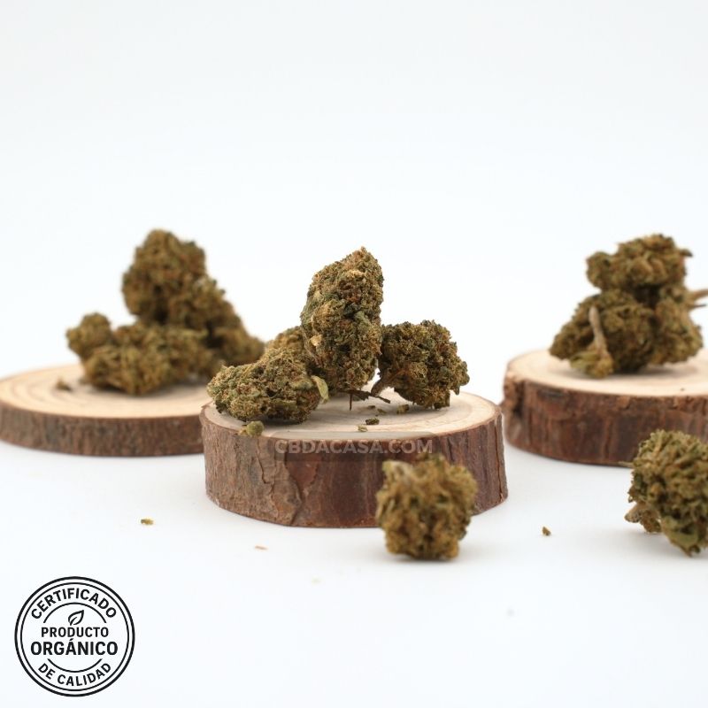 Strawberry CBD indoor flores bellísimas a buen precio