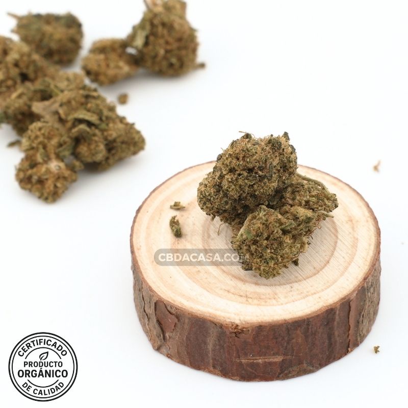 Strawberry CBD indoor flores bellísimas a buen precio
