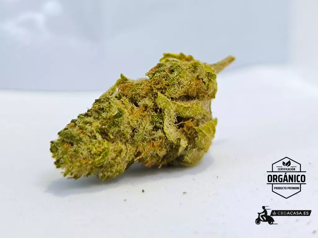 Flor CBD Indoor V1 desde 1,35€/gr