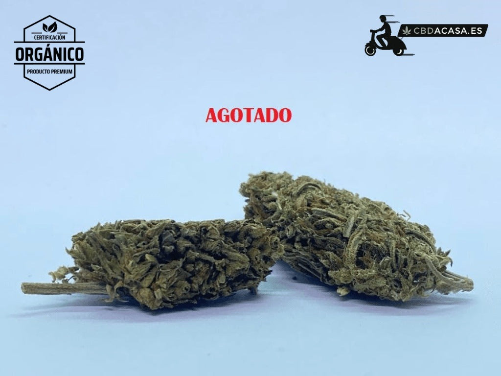 Flores CBD Therapy 100% orgánica desde 1,29€/gr