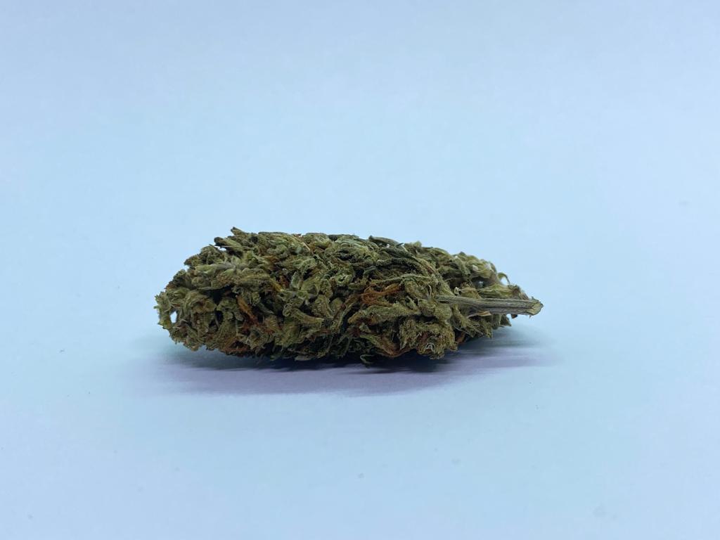 Flores CBD Therapy 100% orgánica desde 1,29€/gr