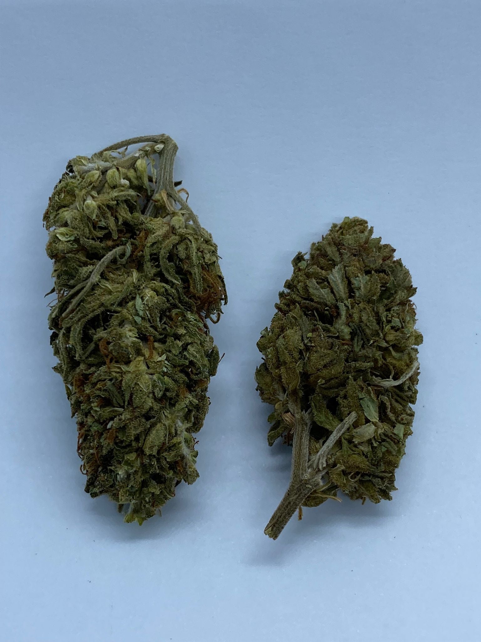 Flores CBD Therapy 100% orgánica desde 1,29€/gr