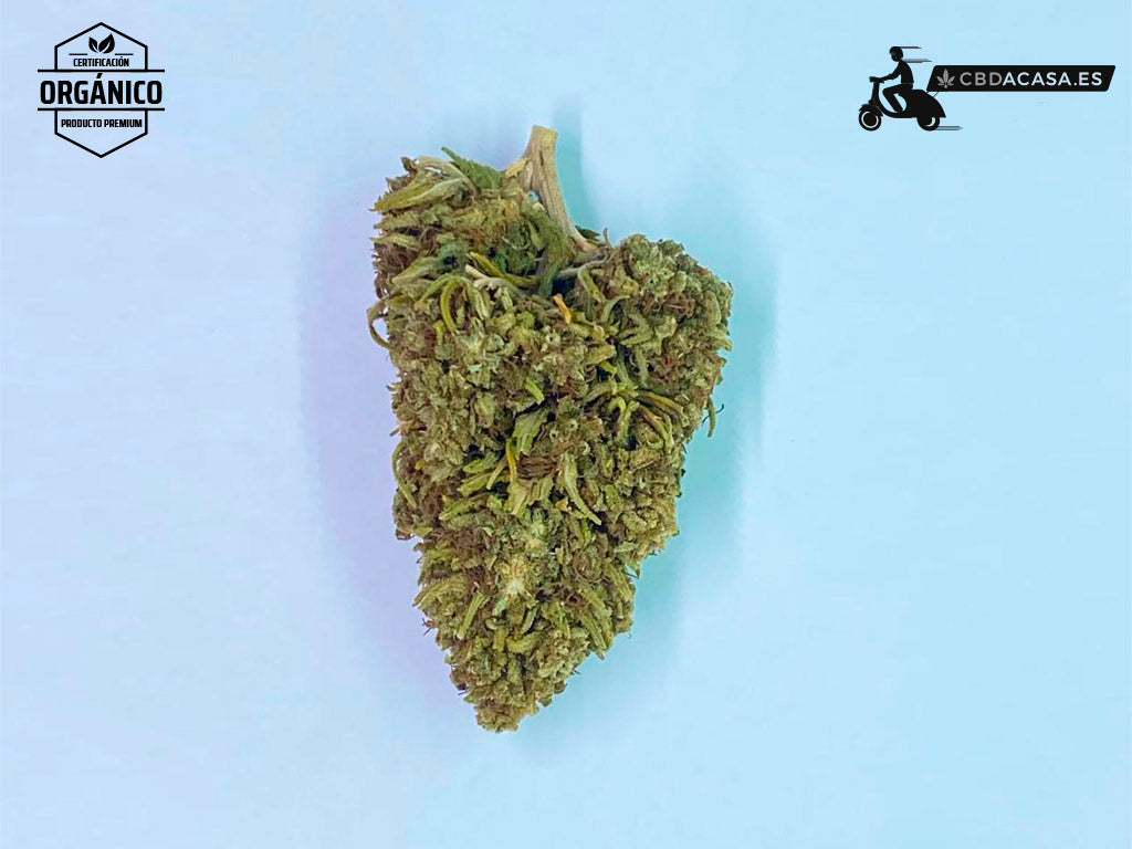 Flores CBD Watermelon 100% ecológico desde 0,99€/gr