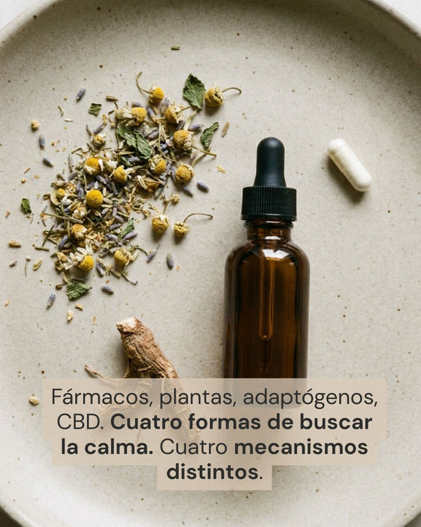 En busca de la calma: CBD, fármacos, plantas y adaptógenos — qué hace cada uno y cómo elegir