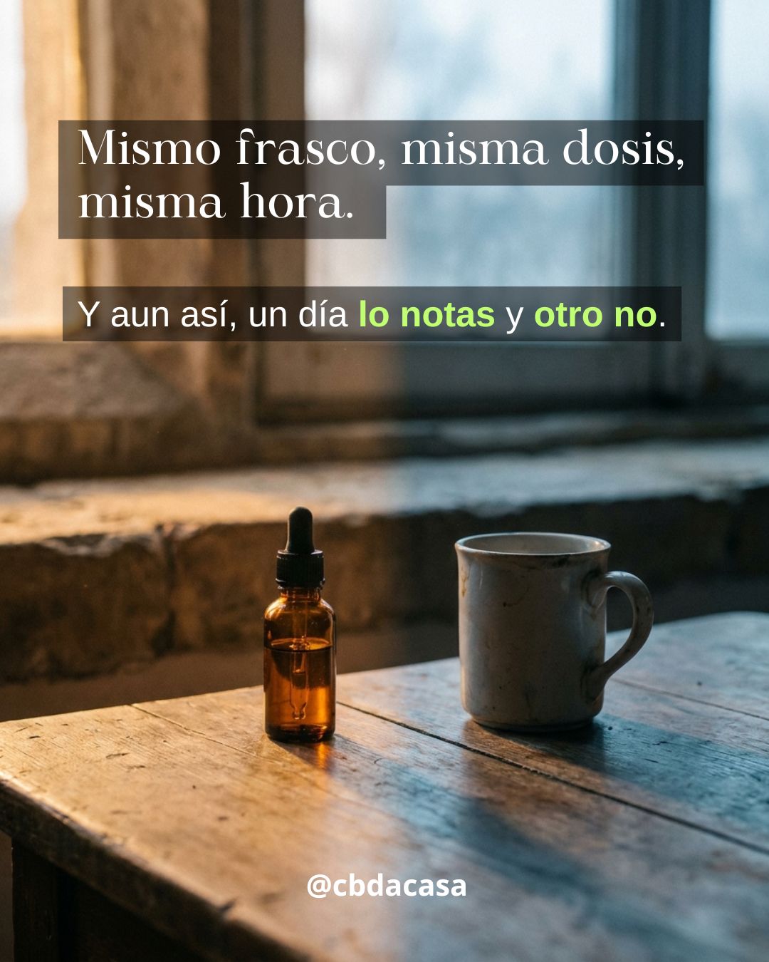 Por qué el mismo producto de CBD te sienta distinto según el día