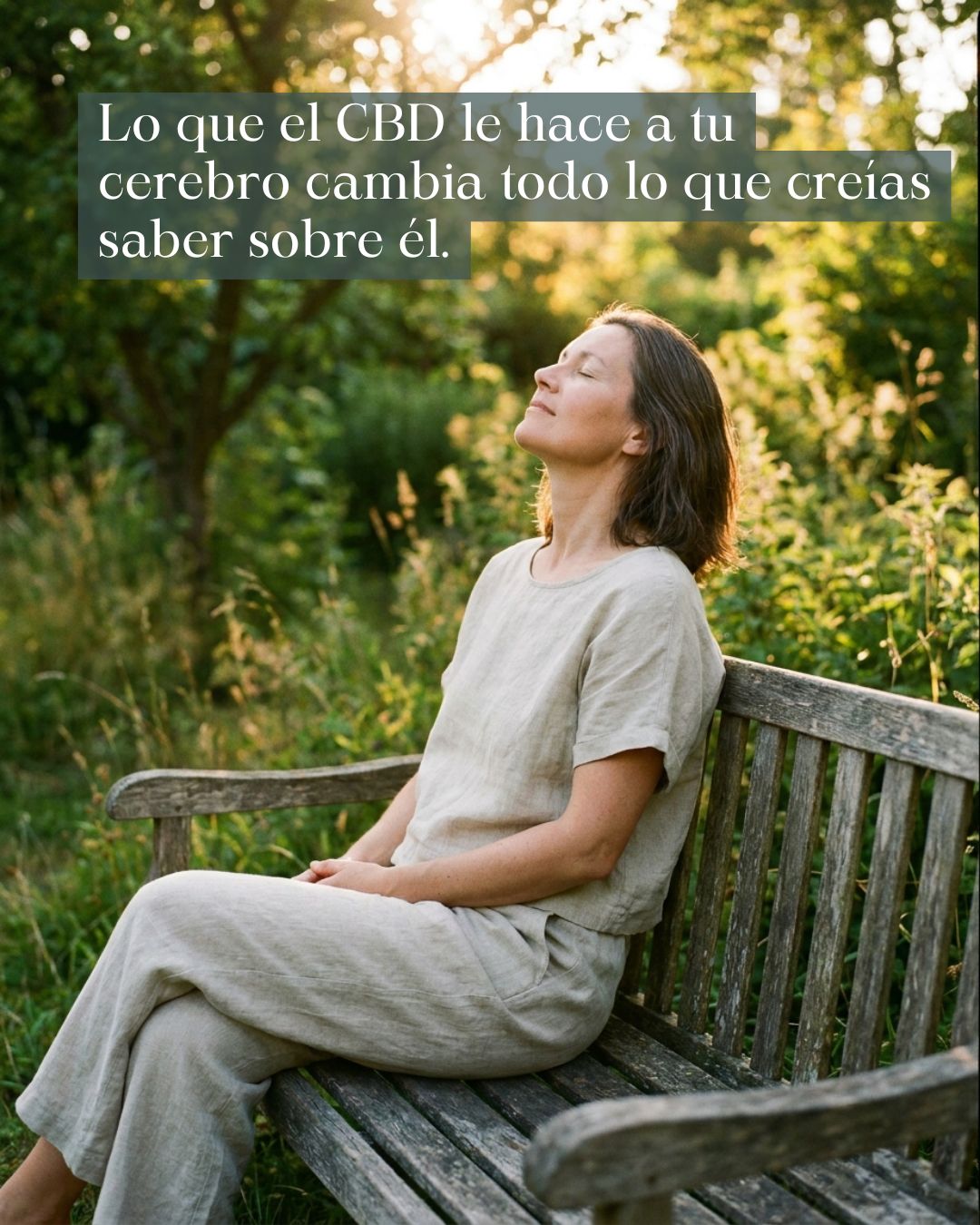 CBD y cerebro: lo que la ciencia está descubriendo sobre memoria, neuroprotección y declive cognitivo