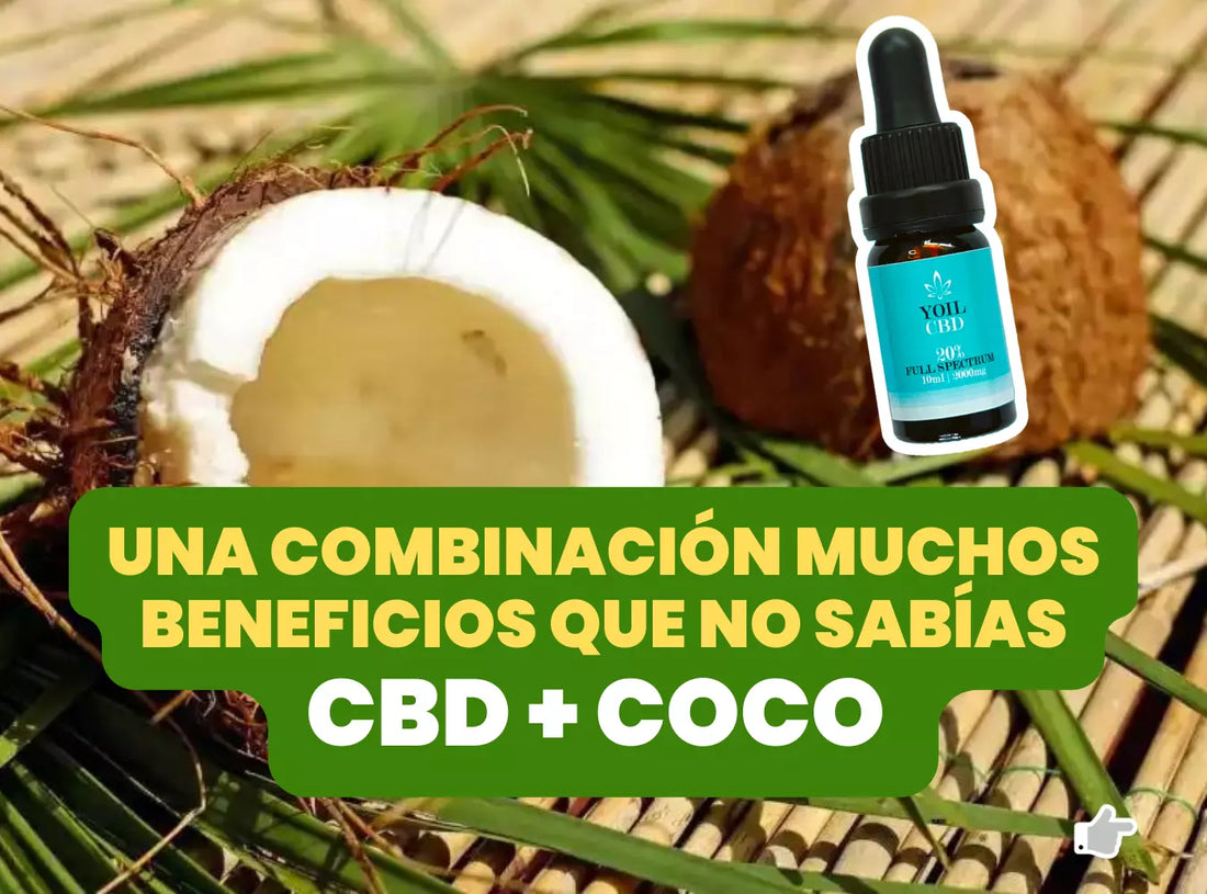 ¿Sabías que el Coco puede potenciar sus beneficios en combinación con aceite de CBD?