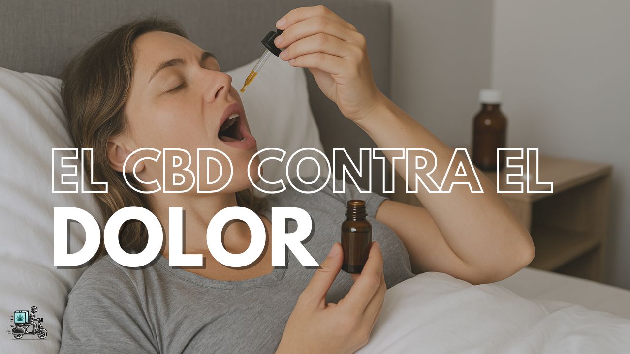 CBD y el Dolor (1/3): Avances recientes en el uso del cannabidiol (CBD) para el tratamiento del dolor (1/2)