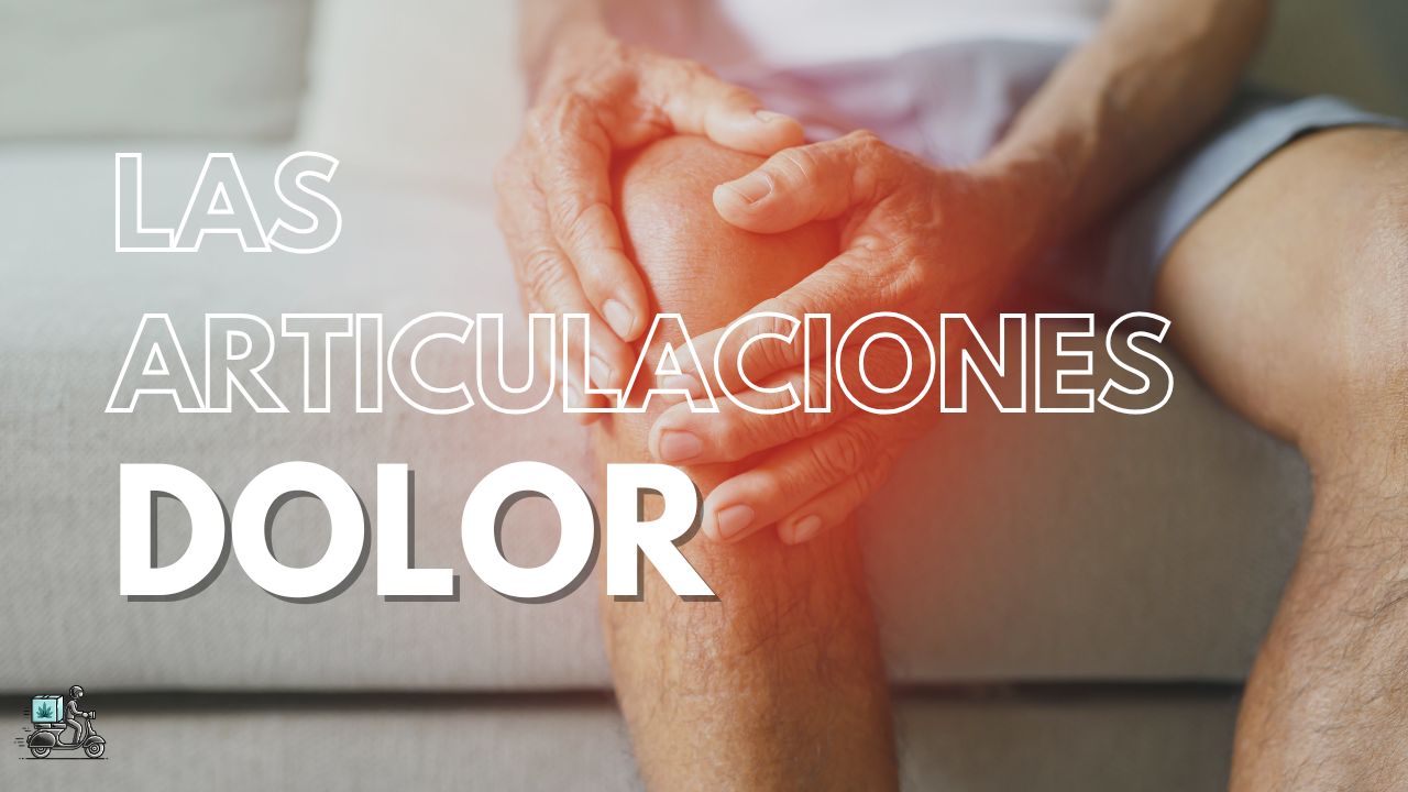 CBD para el Dolor y el Estrés: demostrado ser efectivo para reducir el dolor en personas con artritis con un 94% de efectividad