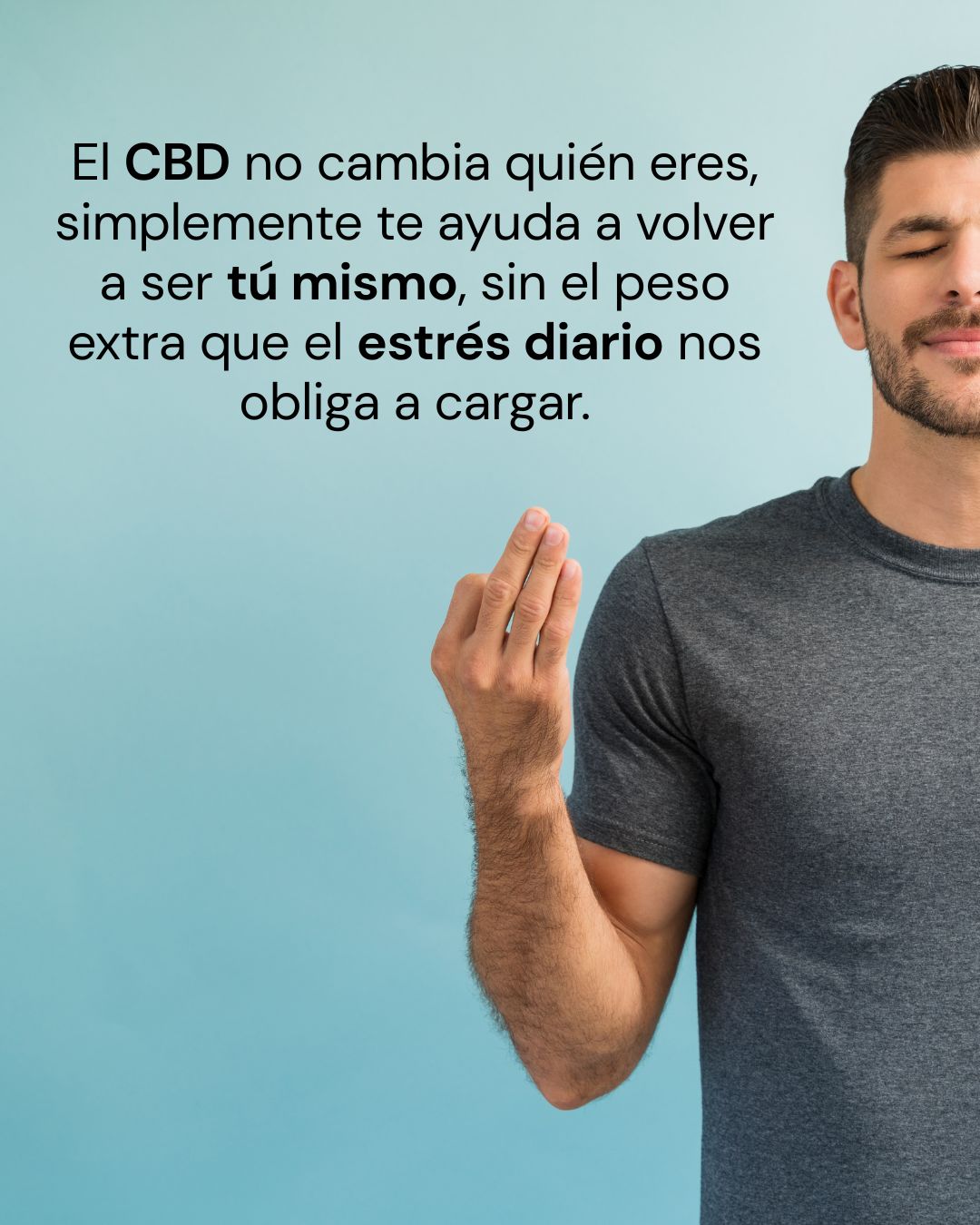 Guía para principiantes: ¿Cómo se siente realmente el CBD?