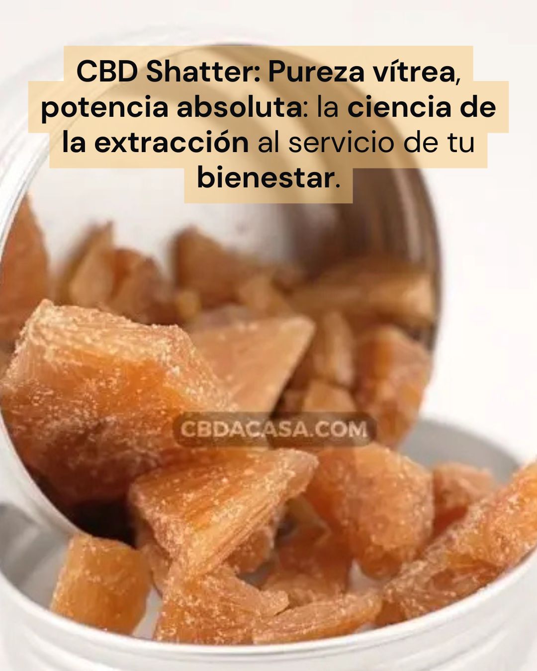 CBD Shatter: La Revolución de la Pureza Molecular y el Bienestar en 2026