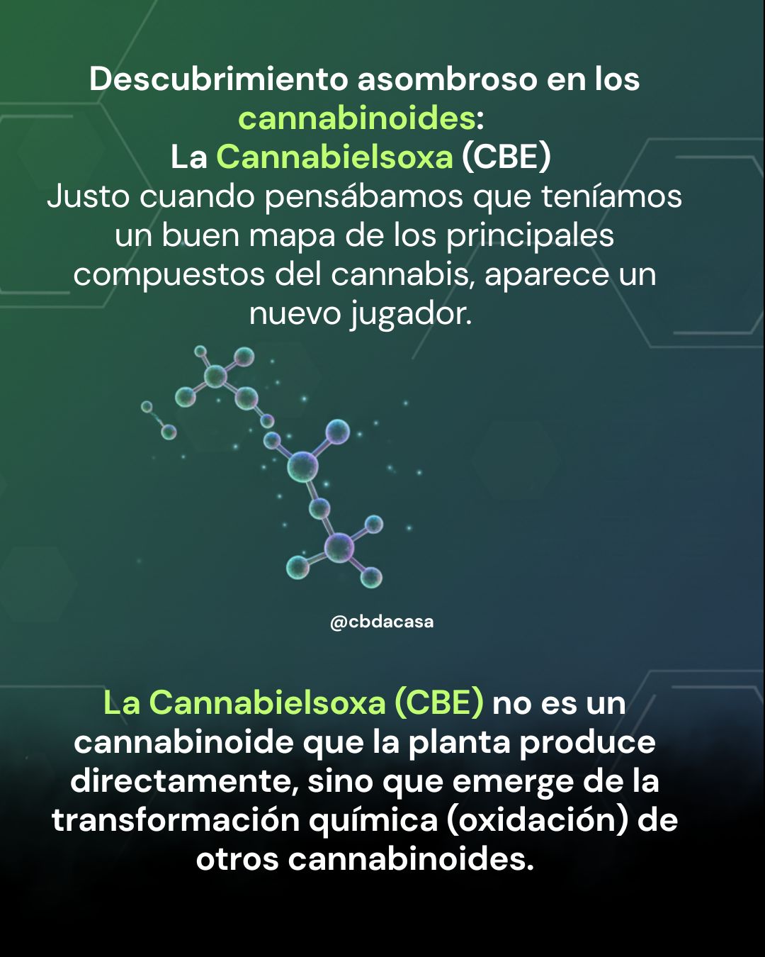 5 Descubrimientos que van Más Allá del THC y CBD: 5 Descubrimientos que están revolucionando la Ciencia de los Cannabinoides